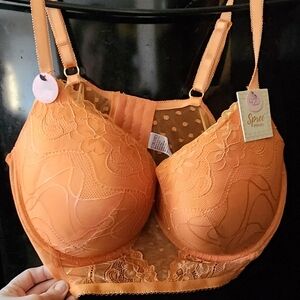 Elegant Lace Orange Bra